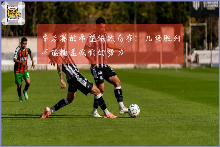 季后赛的希望依然存在：几场胜利不能掩盖我们的努力