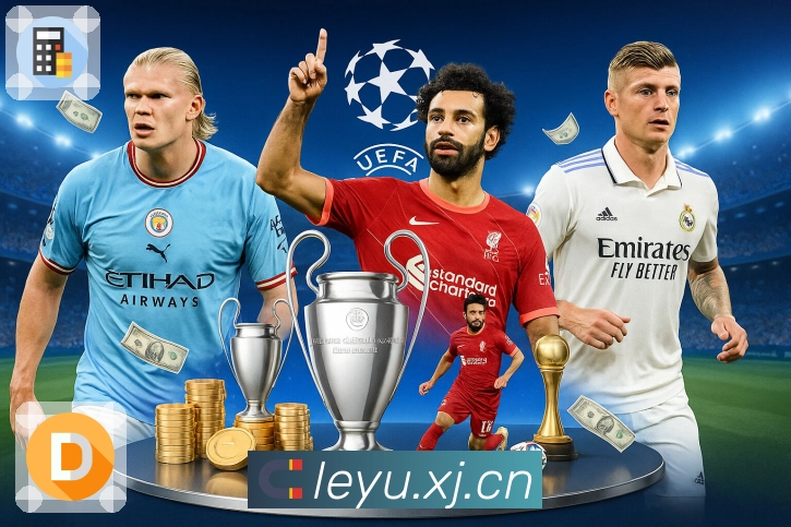 leyu回访内容价值